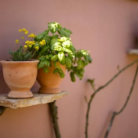 House Rabota Casa vacanze