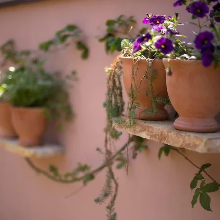 House Rabota * Pola